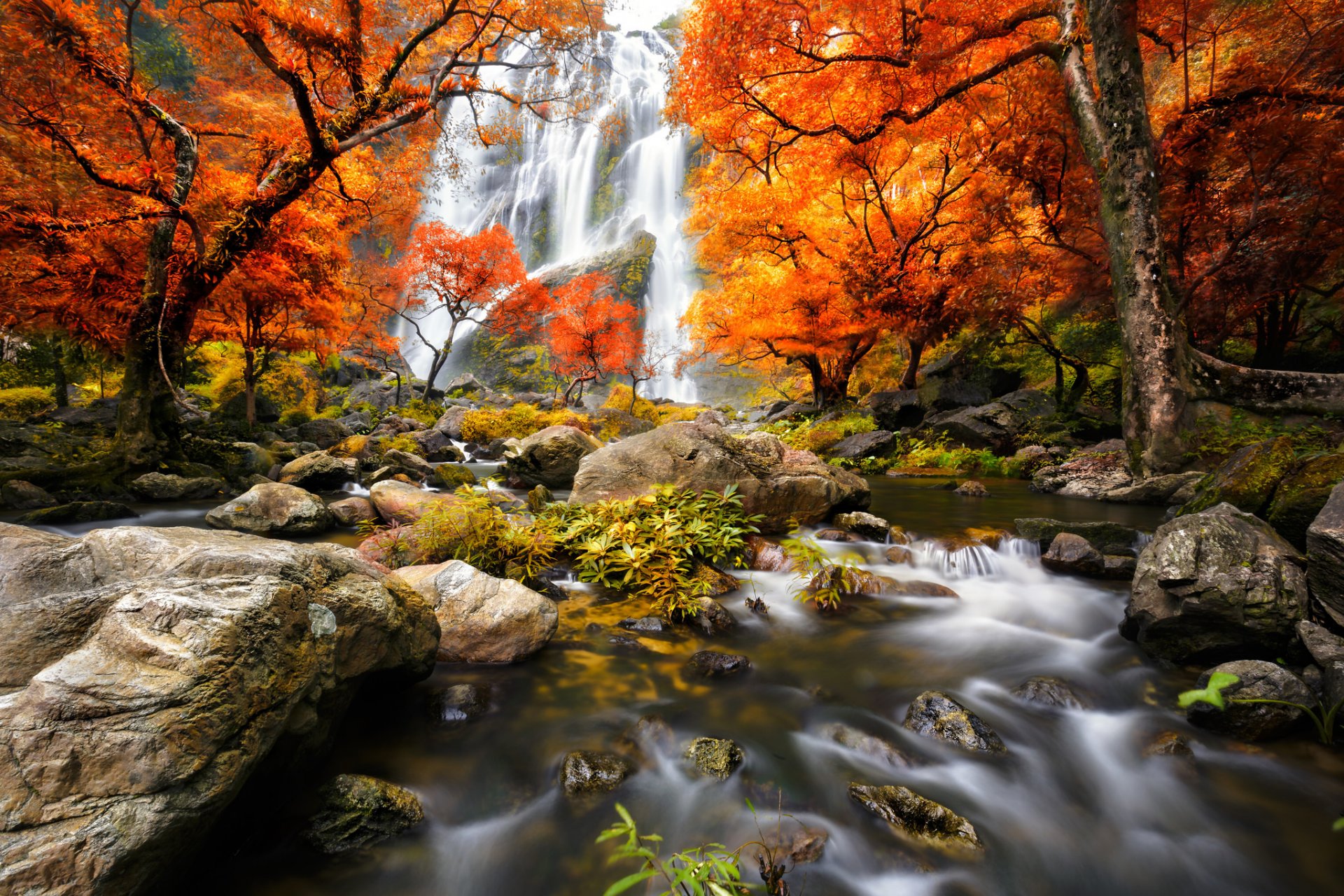 naturaleza paisaje bosque cascada agua árboles otoño río otoño ver