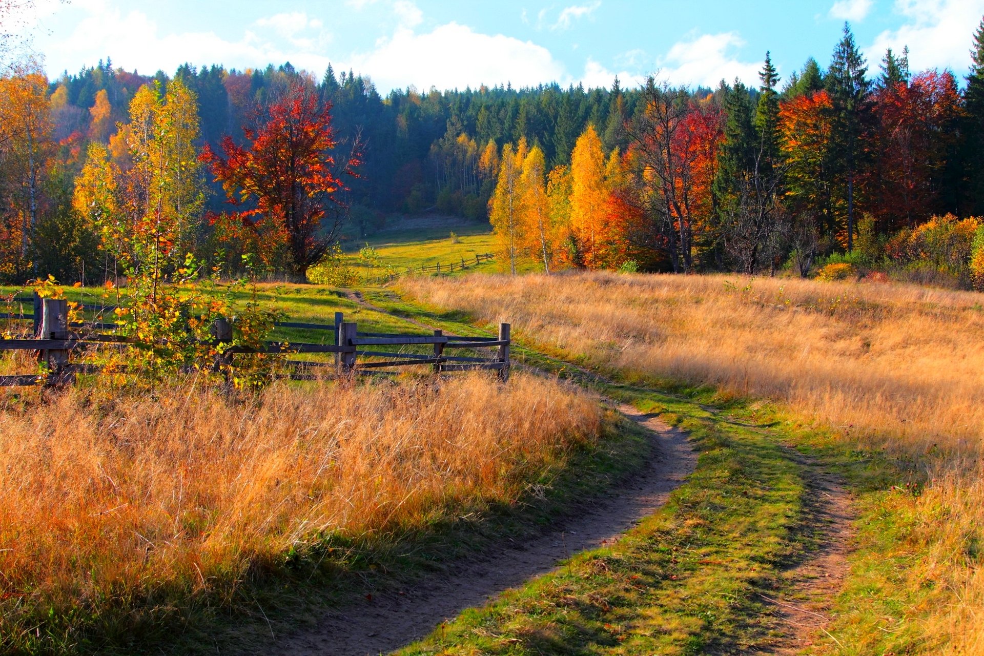naturaleza bosque árboles montañas hierba hojas colorido camino otoño caída colores paseo cielo