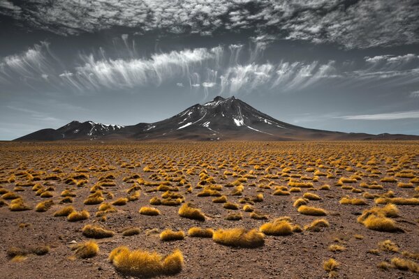 Hermosa vista de la estepa con nubes