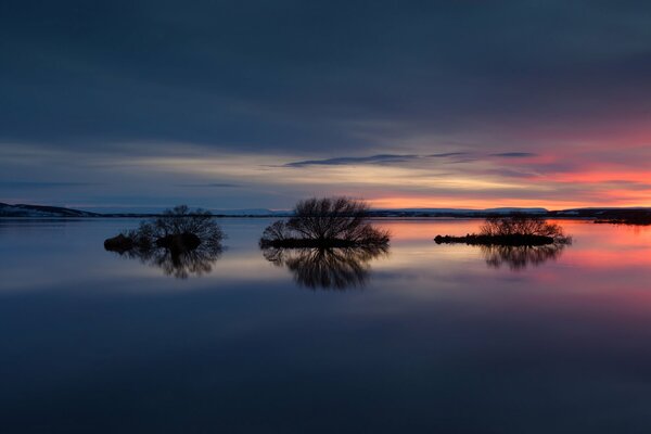 Los árboles se reflejan en un lago limpio al atardecer