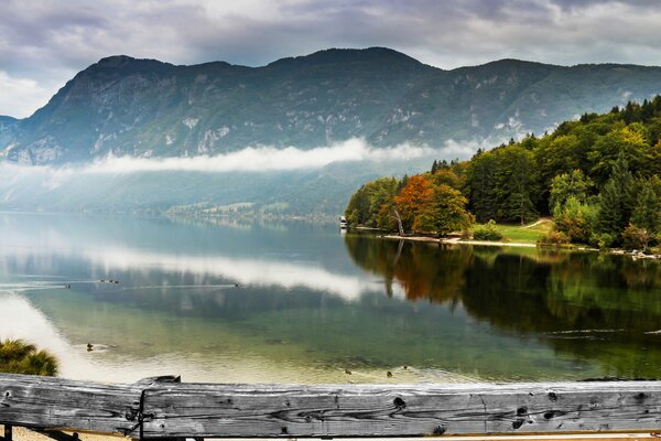 Lago de montaña con vistas al bosque